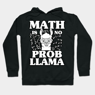 Math is no ProbLlama Hoodie